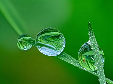 威廉希尔·williamhill(中国)中文官网